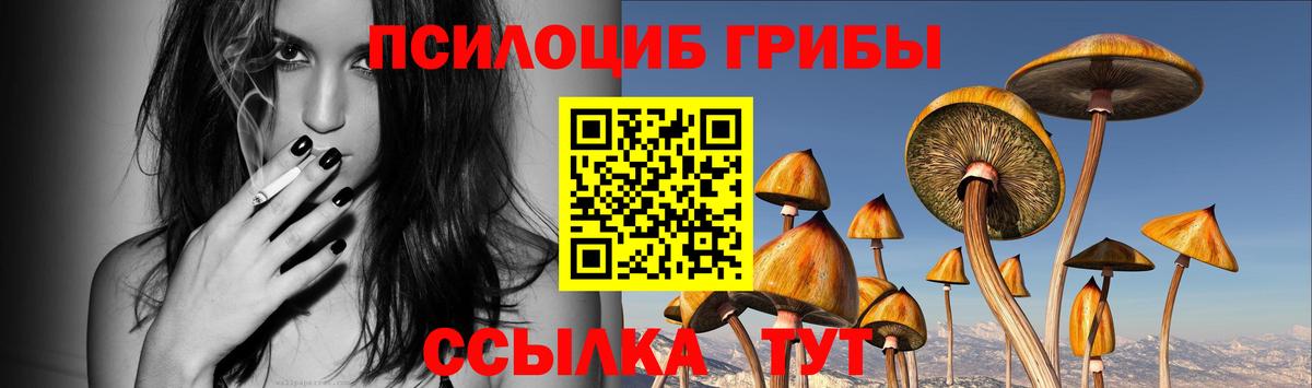 наркошоп  Галлюциногенные грибы GOLDEN TEACHER  Вход с VPN  Нефтеюганск 